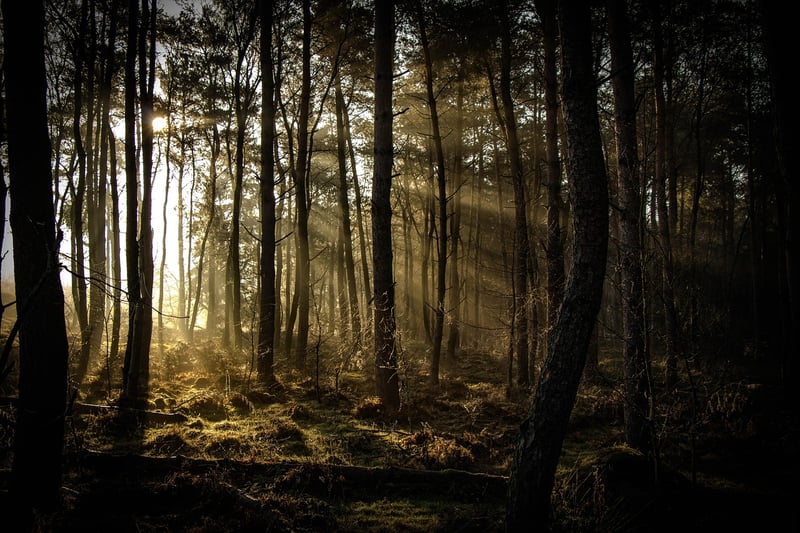 Untouched Wilderness Trek