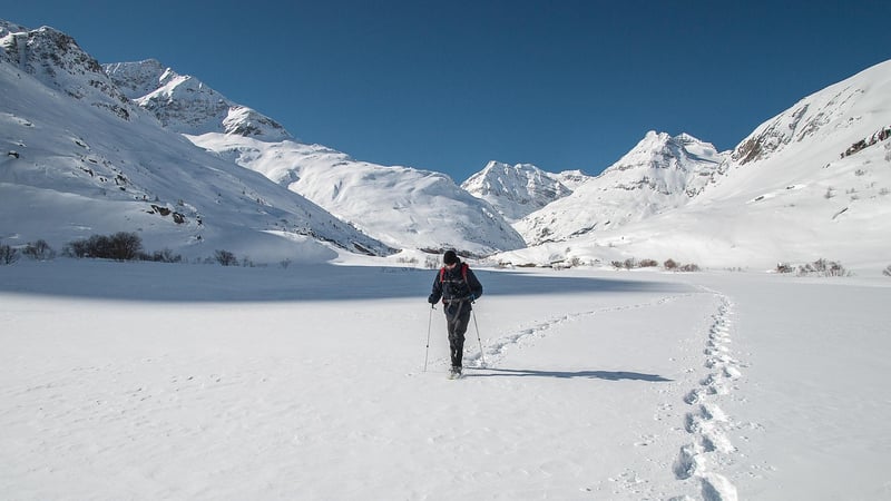 Wilderness Trek